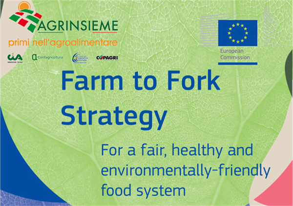 Agrinsieme: “Farm to Fork”, agricoltori in prima linea per raggiungimento obiettivi sostenibilità UE; servono una valutazione d’impatto e una maggiore uniformità nell’applicazione delle disposizioni